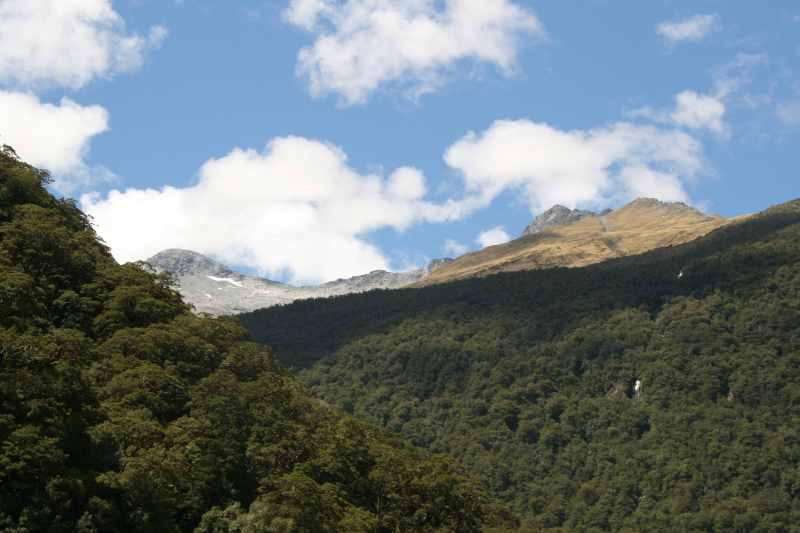 Nieuw-Zeeland 2011 - 1574